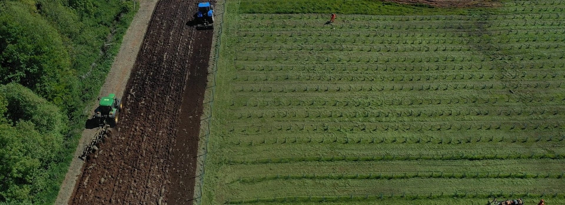 Drone image of seed prep and strimming fields